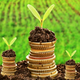 Illustration for article titled Merchant Cash Advance: A Pre-requisite for Your Small Business